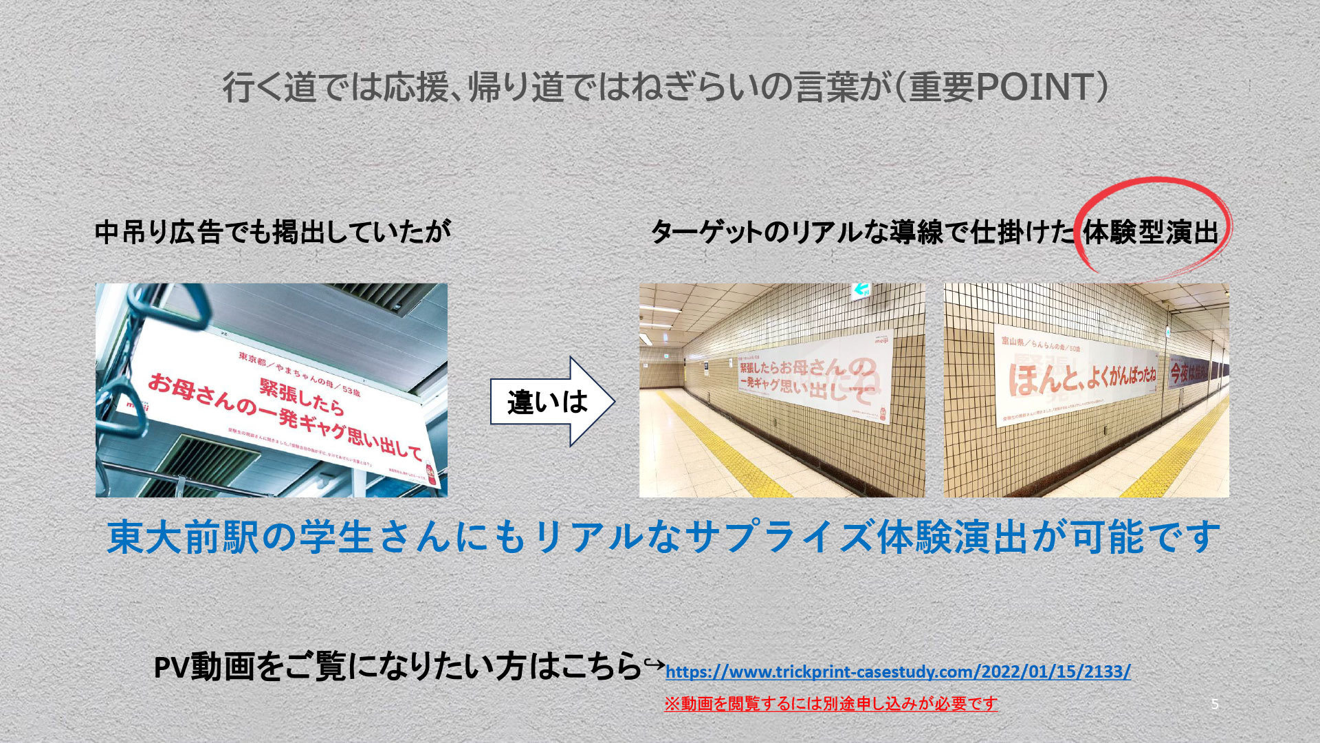 info05.jpg