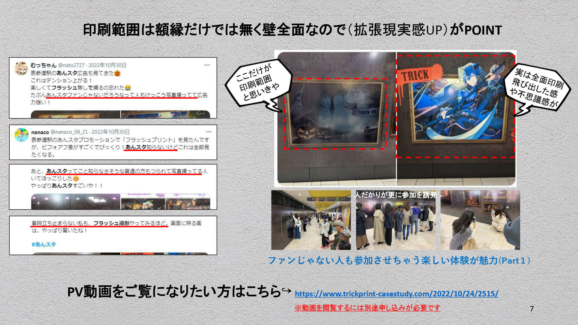 info07.jpg