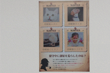 謎解き ギミック