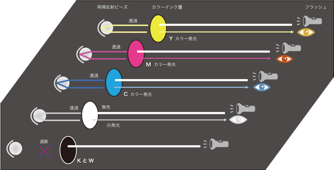 フラッシュプリント　仕組み