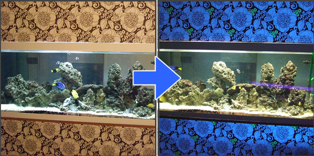 ブラックライトアート