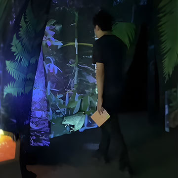 体験型展示