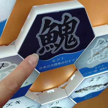 体験型展示