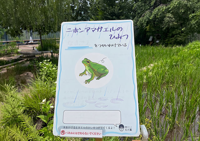 体験型展示
