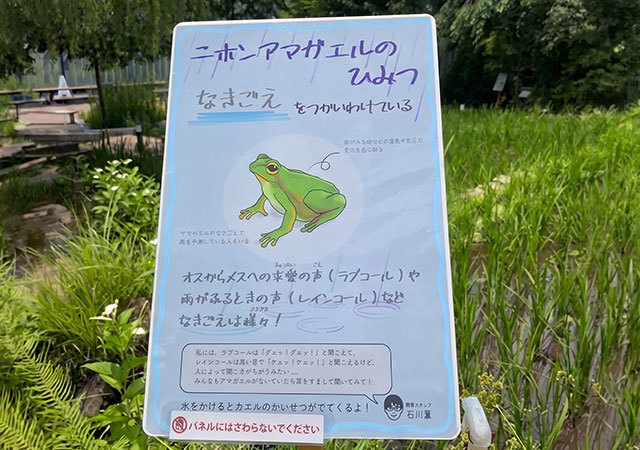 体験型展示