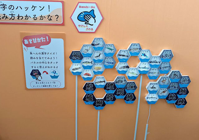 体験型展示