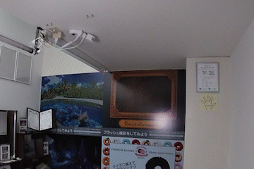 フラッシュプリントの演出方法