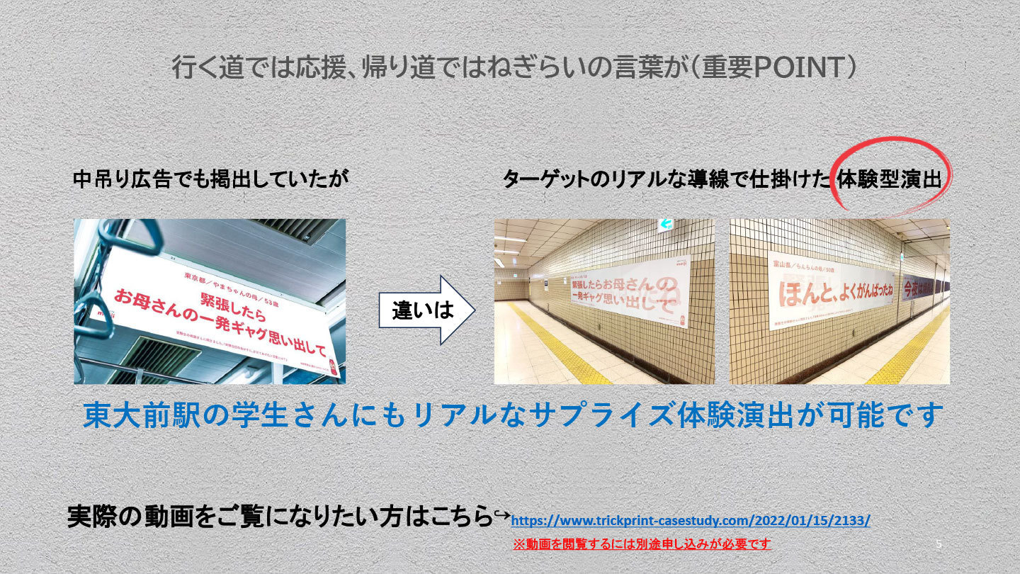 info22.jpg