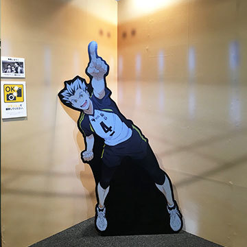 企画展 体験型展示