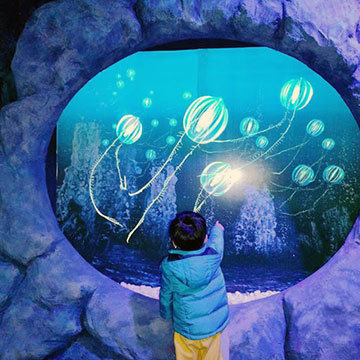 企画展 フォトスポット