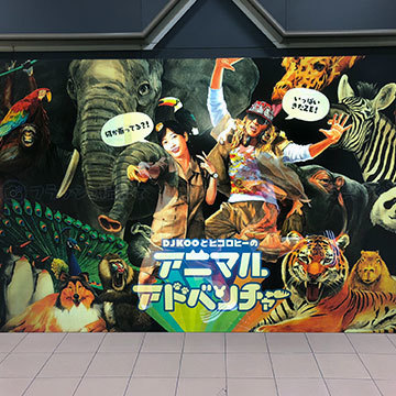 コラボイベント フォトスポット