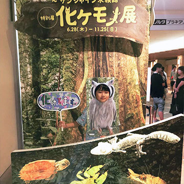 企画展 フォトスポット