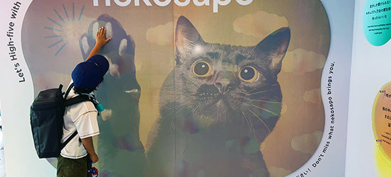 展示会 面白い仕掛け