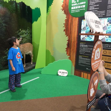 面白い フォトスポット