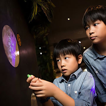 クイズラリー 仕掛け