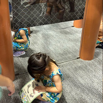 ミッション 仕掛け