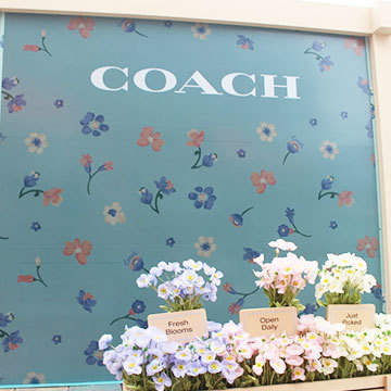 イベント フォトスポット