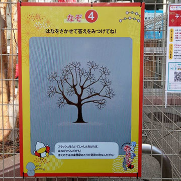 リアル謎解き 面白い