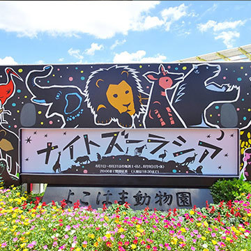 イベント装飾 面白い