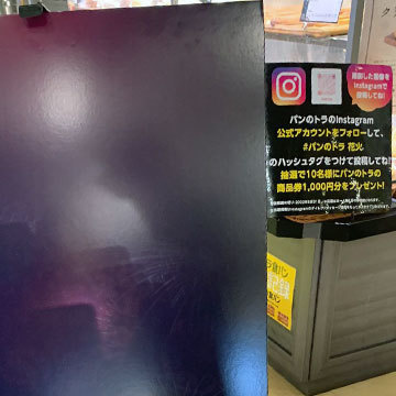 キャンペーン 面白い