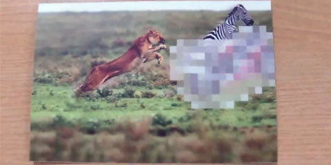 モザイク除去のような演出