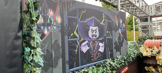 ベローズプリント