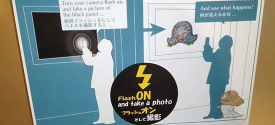 フラッシュプリント