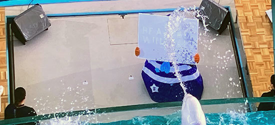 ハイドロプリント