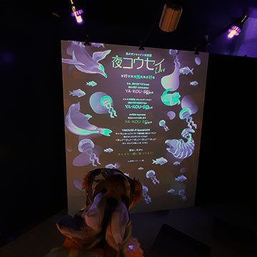 ブラックライトアート