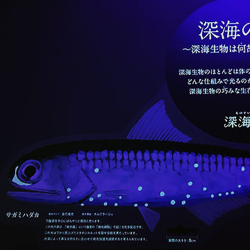 ブラックライトアート