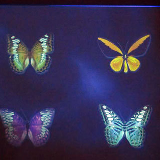 ブラックライトアート