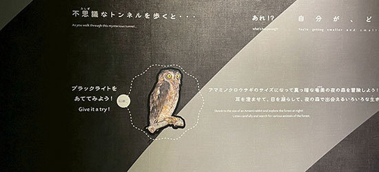 ブラックライトプリント