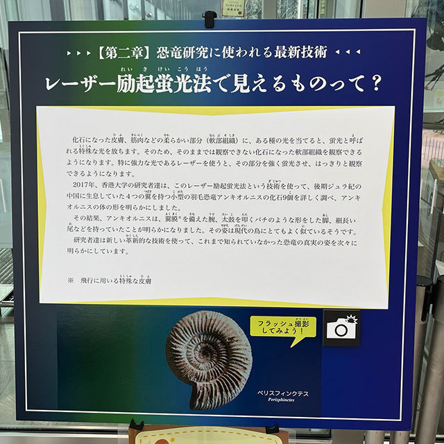 体験型アート
