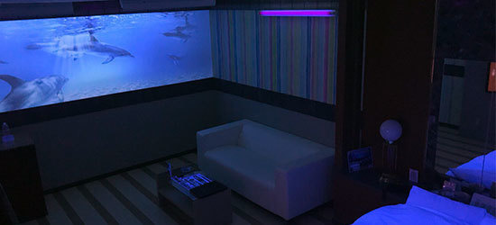 ブラックライトプリント