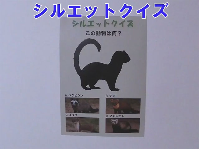 フラッシュ動画1
