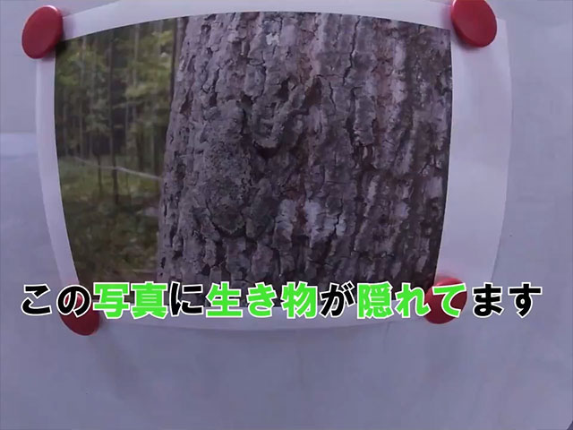 ブラックライト動画3